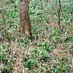 23-03-13 13-47-51 4860